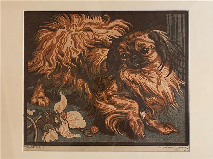 Pekinese, WVD 204 1930
